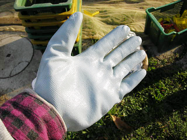 entry_photo